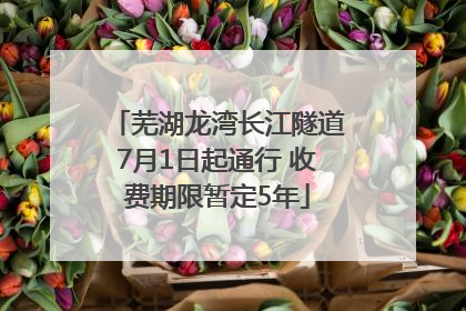 芜湖龙湾长江隧道7月1日起通行 收费期限暂定5年