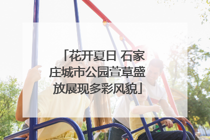 花开夏日 石家庄城市公园萱草盛放展现多彩风貌