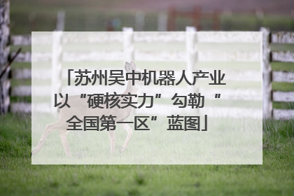苏州吴中机器人产业以“硬核实力”勾勒“全国第一区”蓝图