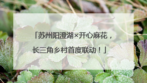 苏州阳澄湖×开心麻花，长三角乡村首度联动！