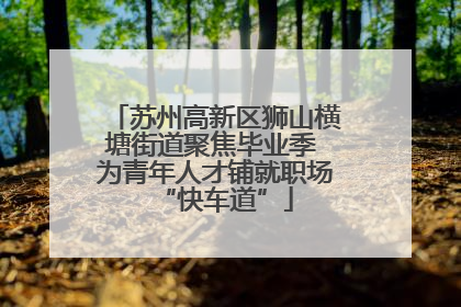 苏州高新区狮山横塘街道聚焦毕业季 为青年人才铺就职场“快车道”