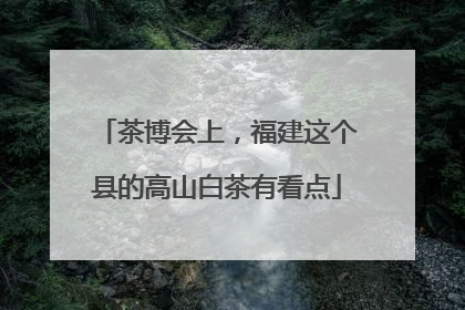 茶博会上，福建这个县的高山白茶有看点