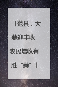 范县：大蒜迎丰收 农民增收有胜“蒜”