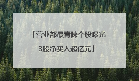 营业部最青睐个股曝光 3股净买入超亿元