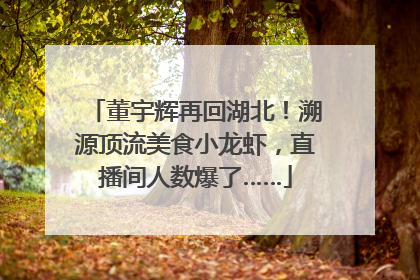 董宇辉再回湖北！溯源顶流美食小龙虾，直播间人数爆了……