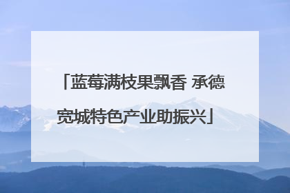 蓝莓满枝果飘香 承德宽城特色产业助振兴