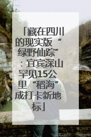 藏在四川的现实版“绿野仙踪”：宜宾深山罕见15公里“稻海”成打卡新地标