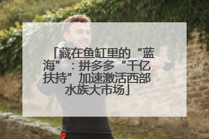 藏在鱼缸里的“蓝海”：拼多多“千亿扶持”加速激活西部水族大市场