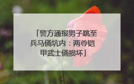 警方通报男子跳至兵马俑坑内：两尊铠甲武士俑损坏