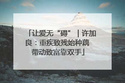 让爱无“碍”｜许加良：重疾致残始种藕 带动致富靠双手