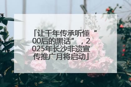 让千年传承听懂“00后的黑话”，2025年长沙非遗宣传推广月将启动