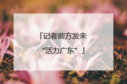 记者前方发来“活力广东”