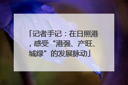 记者手记：在日照港，感受“港强、产旺、城绿”的发展脉动