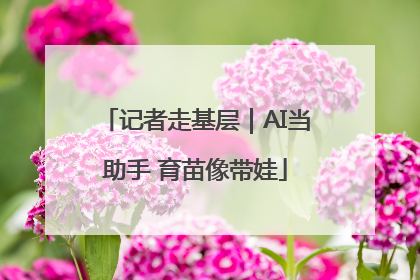 记者走基层｜AI当助手 育苗像带娃