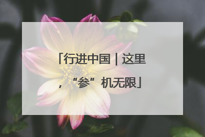 行进中国｜这里，“参”机无限