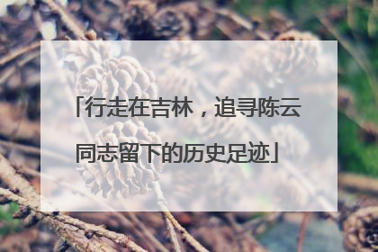 行走在吉林，追寻陈云同志留下的历史足迹