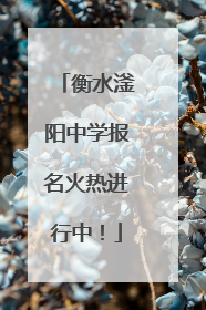 衡水滏阳中学报名火热进行中！