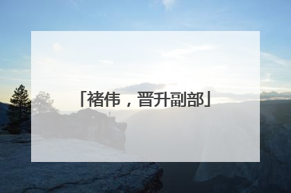 褚伟，晋升副部