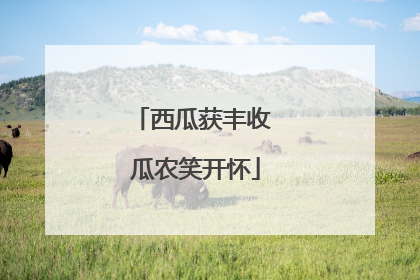 西瓜获丰收 瓜农笑开怀