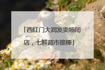 西红门大润发卖场闭店，七鲜超市接棒