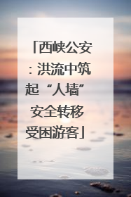 西峡公安：洪流中筑起“人墙” 安全转移受困游客
