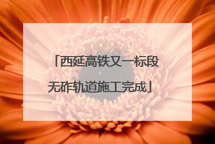 西延高铁又一标段无砟轨道施工完成