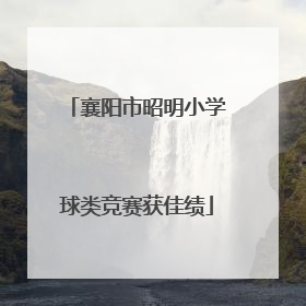 襄阳市昭明小学球类竞赛获佳绩