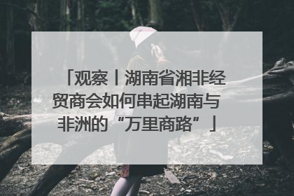 观察丨湖南省湘非经贸商会如何串起湖南与非洲的“万里商路”