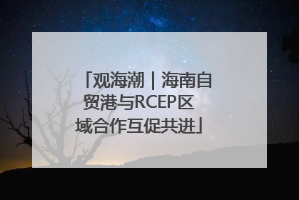 观海潮｜海南自贸港与RCEP区域合作互促共进