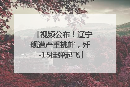 视频公布！辽宁舰遭严重挑衅，歼-15挂弹起飞