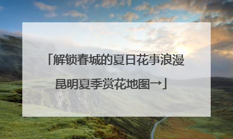 解锁春城的夏日花事浪漫 昆明夏季赏花地图→