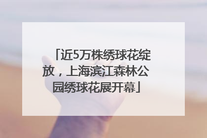 近5万株绣球花绽放，上海滨江森林公园绣球花展开幕
