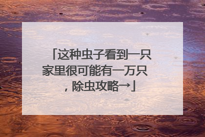 这种虫子看到一只家里很可能有一万只，除虫攻略→