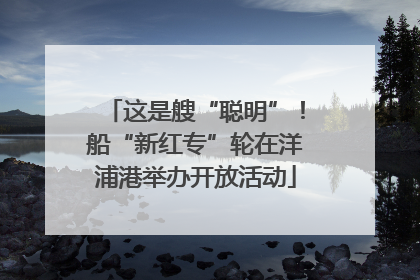 这是艘“聪明”！船“新红专”轮在洋浦港举办开放活动