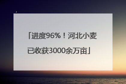 进度96%！河北小麦已收获3000余万亩