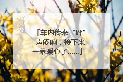 车内传来“砰”一声闷响，接下来一幕暖心了……