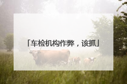 车检机构作弊，该抓