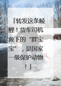 转发这条鲮鲤！货车司机救下的“胖宝宝”，是国家一级保护动物！