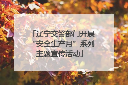 辽宁交警部门开展“安全生产月”系列主题宣传活动