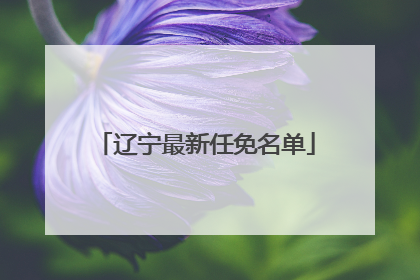 辽宁最新任免名单
