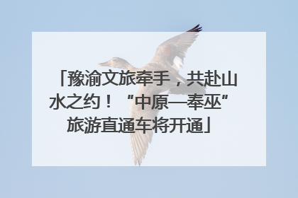 豫渝文旅牵手，共赴山水之约！“中原—奉巫”旅游直通车将开通