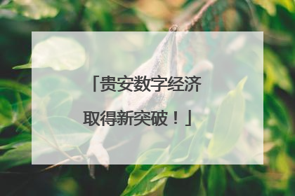 贵安数字经济取得新突破！