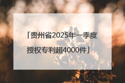 贵州省2025年一季度授权专利超4000件