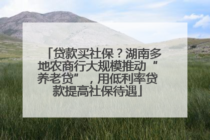 贷款买社保？湖南多地农商行大规模推动“养老贷”，用低利率贷款提高社保待遇