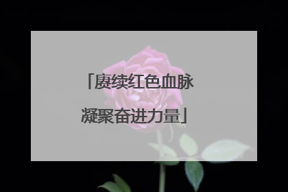 赓续红色血脉 凝聚奋进力量