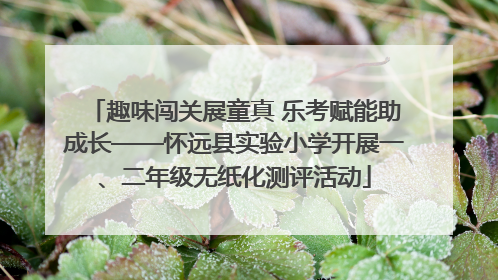 趣味闯关展童真 乐考赋能助成长——怀远县实验小学开展一、二年级无纸化测评活动