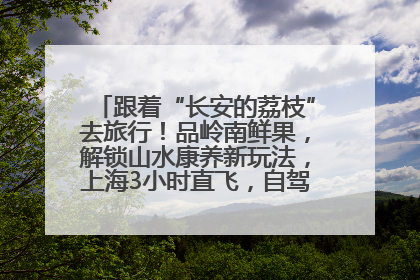 跟着“长安的荔枝”去旅行！品岭南鲜果，解锁山水康养新玩法，上海3小时直飞，自驾高速费优惠