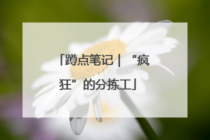 蹲点笔记｜“疯狂”的分拣工