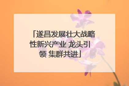遂昌发展壮大战略性新兴产业 龙头引领 集群共进