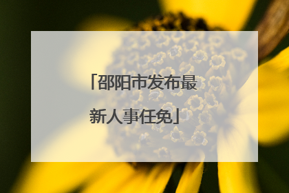 邵阳市发布最新人事任免